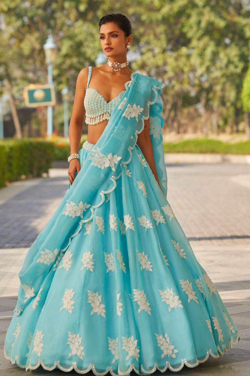 Handcrafted Wedding Lehenga Choli | Chaniya Choli