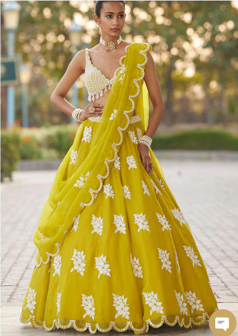 Handcrafted Wedding Lehenga Choli | Chaniya Choli