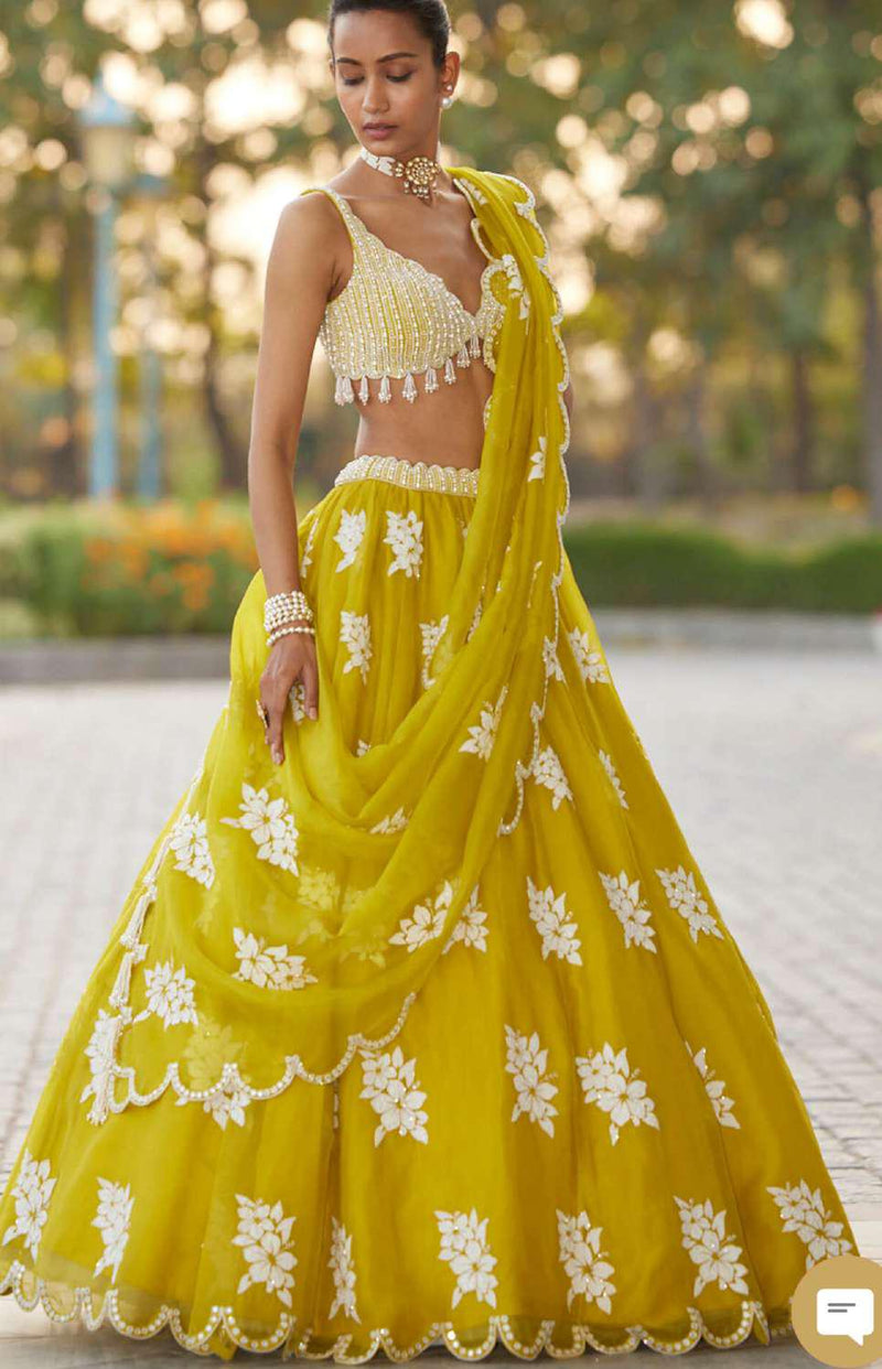 Handcrafted Wedding Lehenga Choli | Chaniya Choli