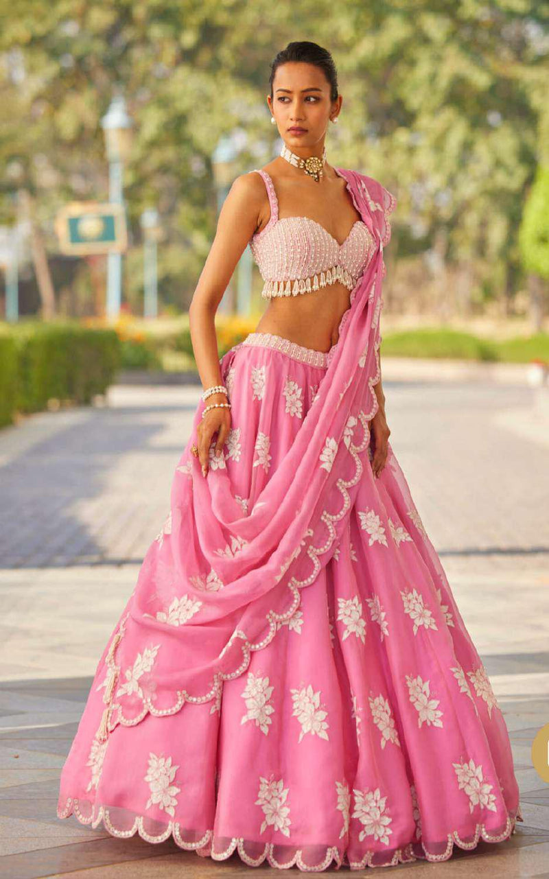 Handcrafted Wedding Lehenga Choli | Chaniya Choli